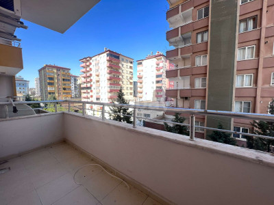 WhatsApp Image 2024-02-01 at 11.24.17.jpeg